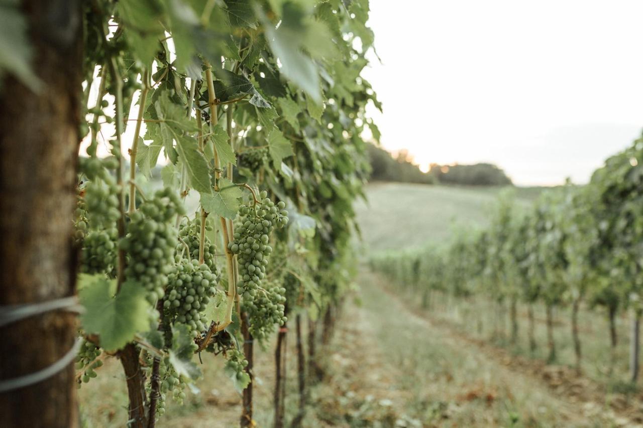 Perelli Winery Villa Bucine Exterior foto